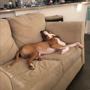 Meet your Posher, Jonathon